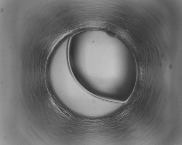 X0000057580580200509160813