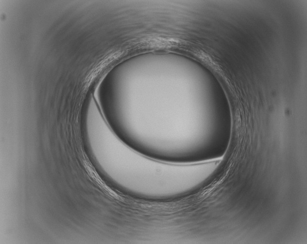 X0000057580581200509160813
