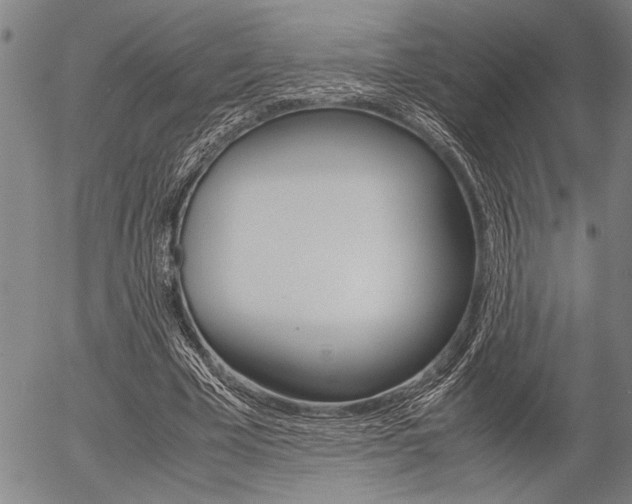 X0000057580585200509160813