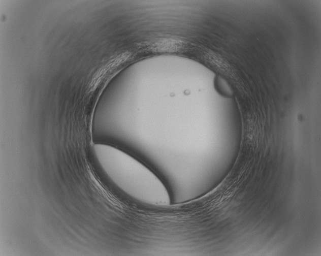 X0000057580586200509160813