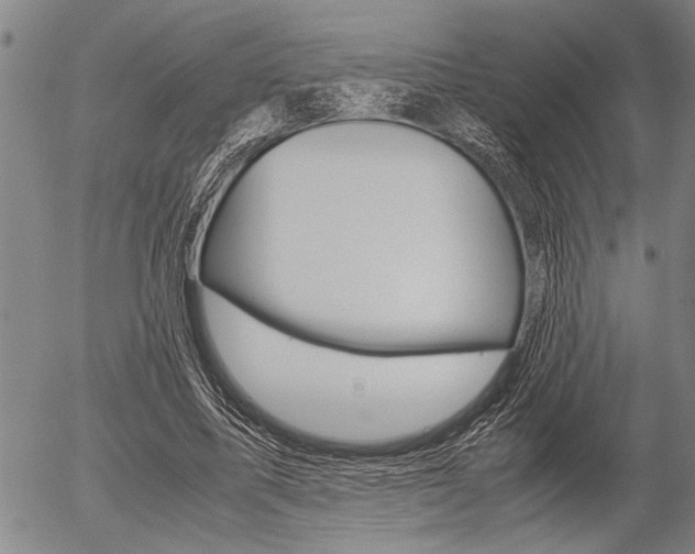X0000057580587200509160813