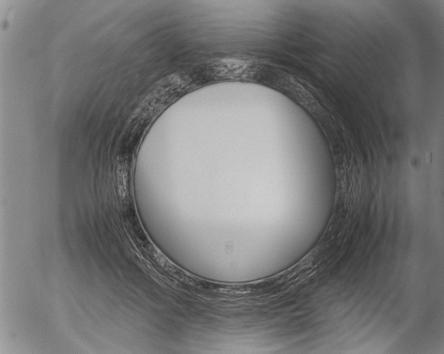 X0000057580602200509160813