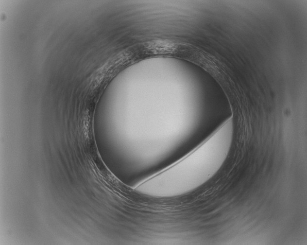 X0000057580604200509160813