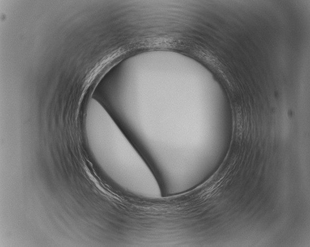 X0000057580674200509160811
