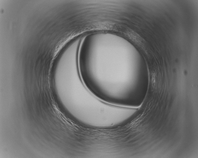 X0000057580676200509160811
