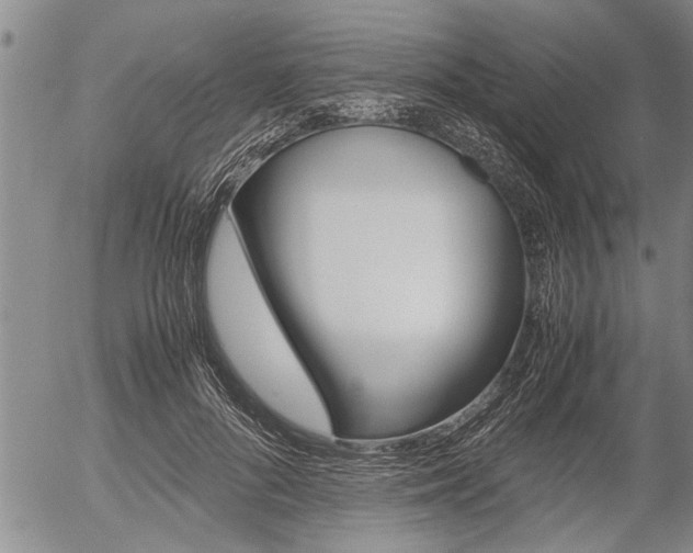 X0000057580696200509160811
