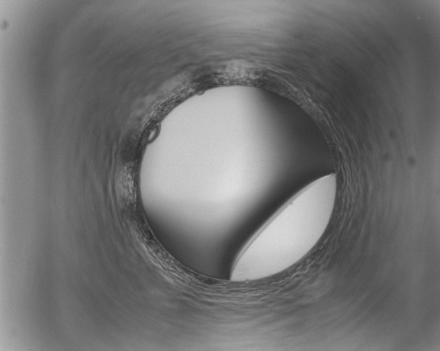 X0000057580715200509160811