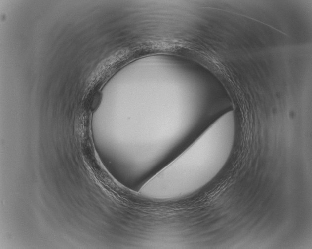 X0000057580736200509160810