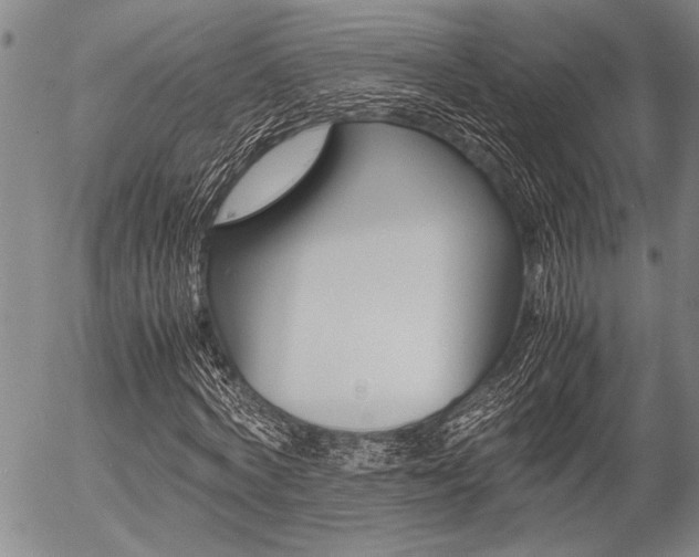 X0000057580772200509160810