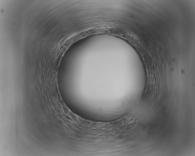 X0000057580773200509160810