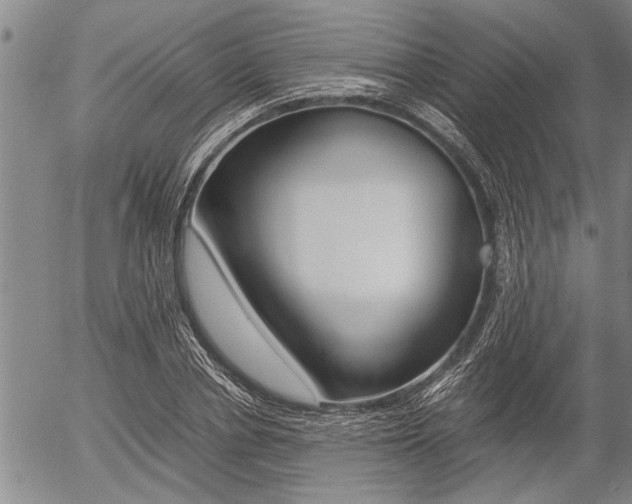 X0000057580834200509160809
