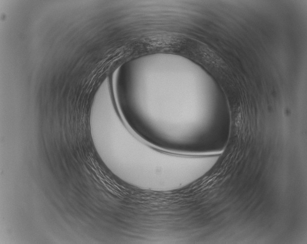 X0000057580868200509160808
