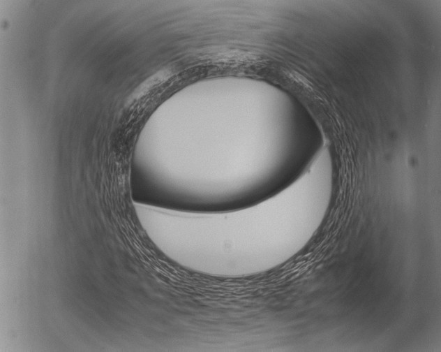 X0000057580869200509160808