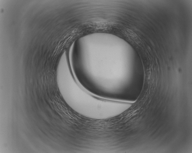 X0000057580916200509160807
