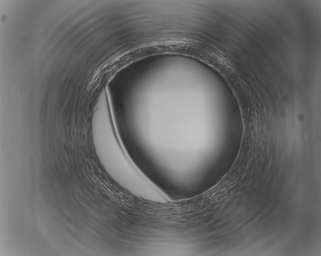 X0000057580920200509160807