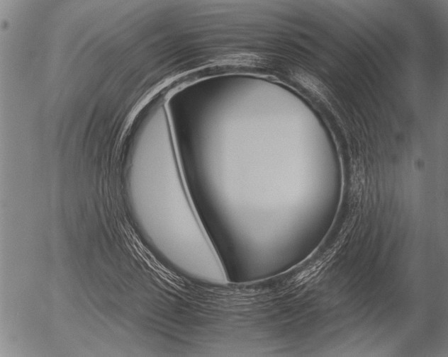 X0000057580923200509160807