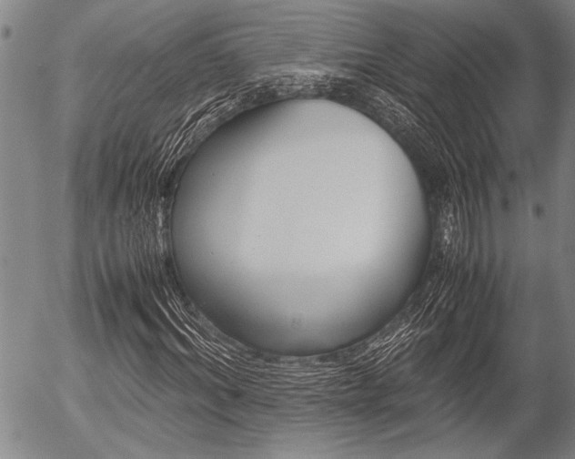 X0000057580964200509160807