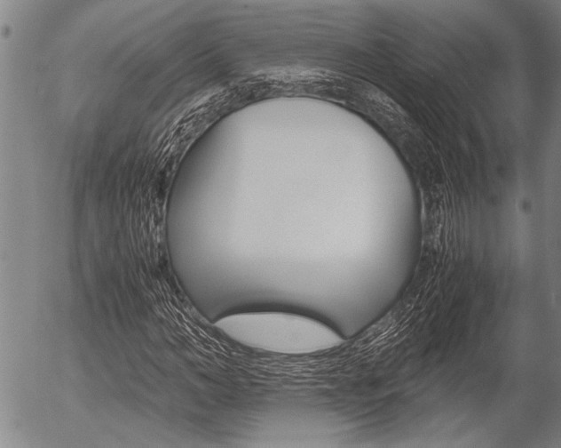 X0000057580966200509160807