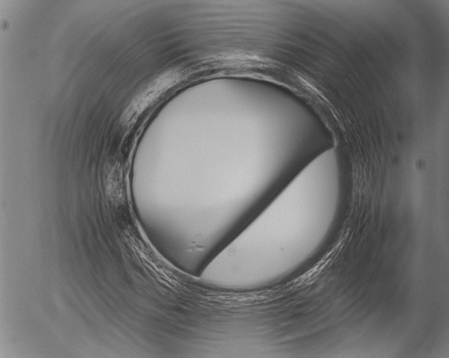 X0000057580970200509160807