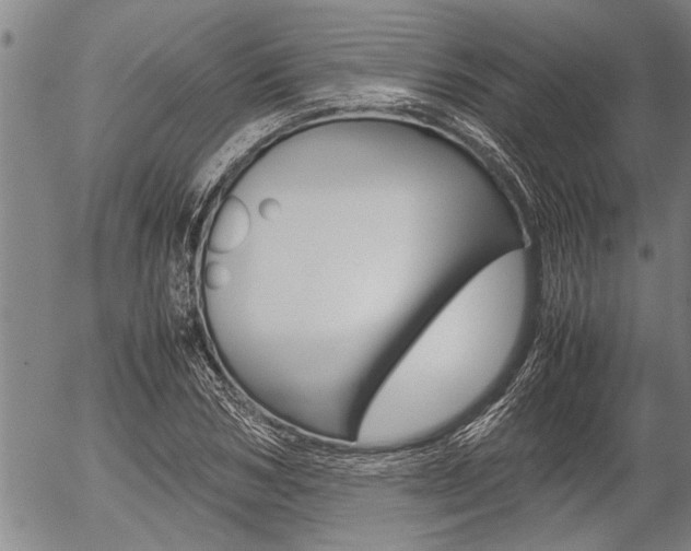 X0000057580978200509160806