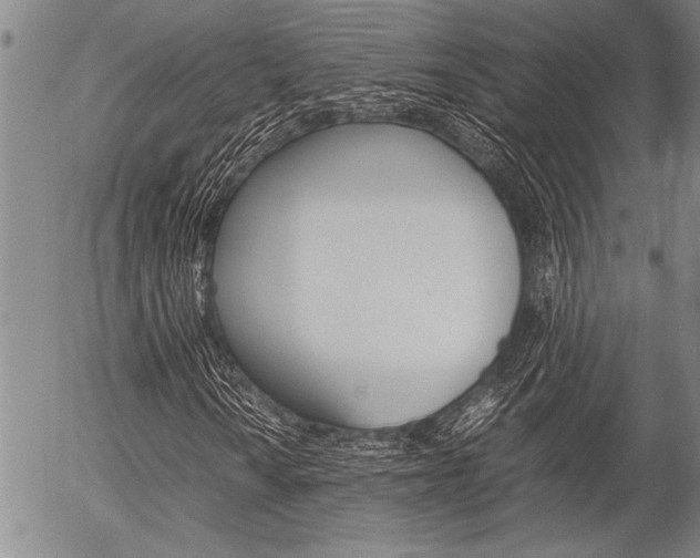 X0000057581010200509160805