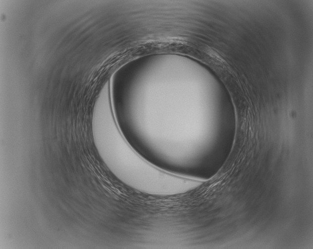 X0000057581014200509160805