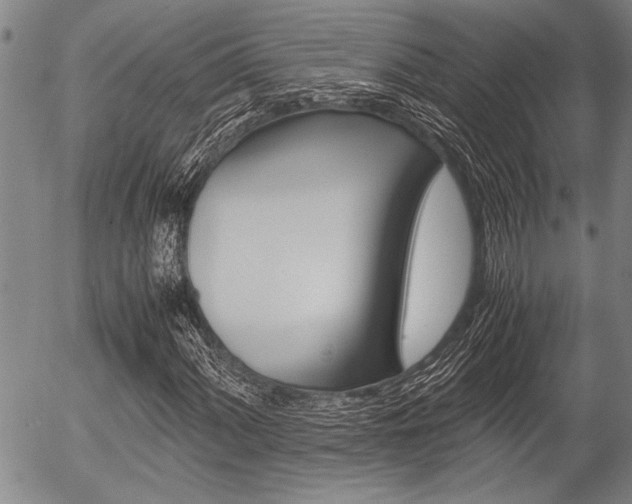 X0000057581060200509160805