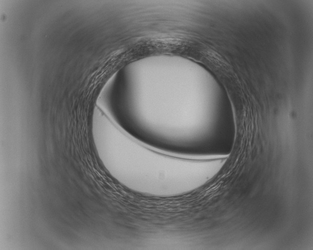 X0000057581061200509160805