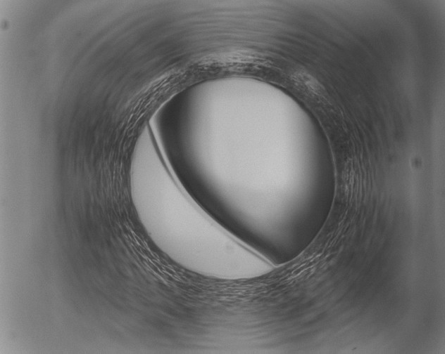 X0000057581062200509160805
