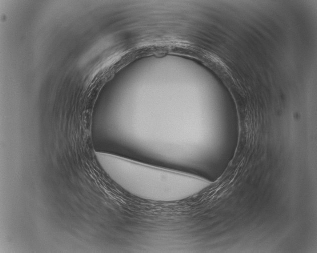 X0000057581064200509160805