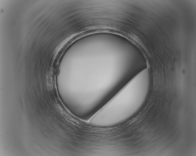 X0000057581068200509160805