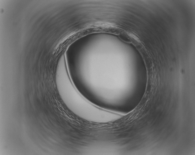 X0000057581112200509160804