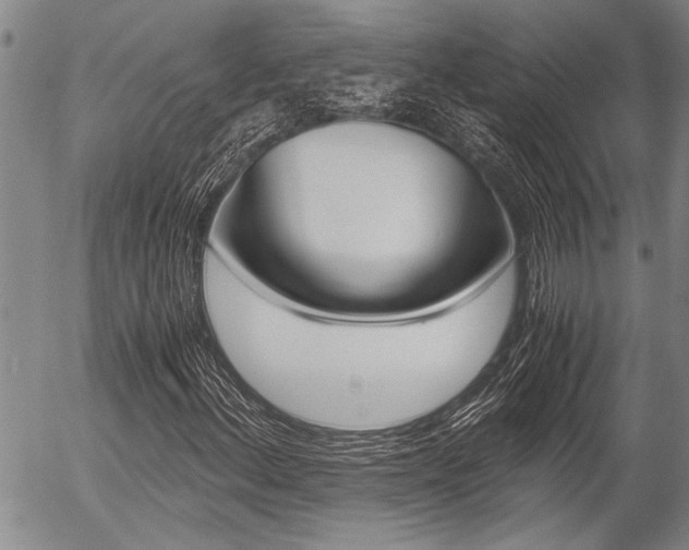 X0000057581156200509160804