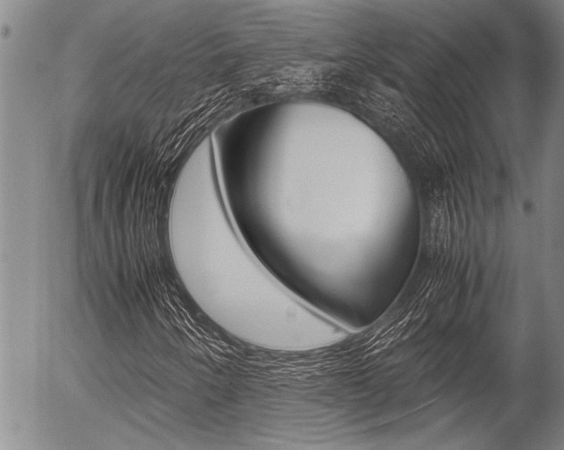 X0000057581250200509160802