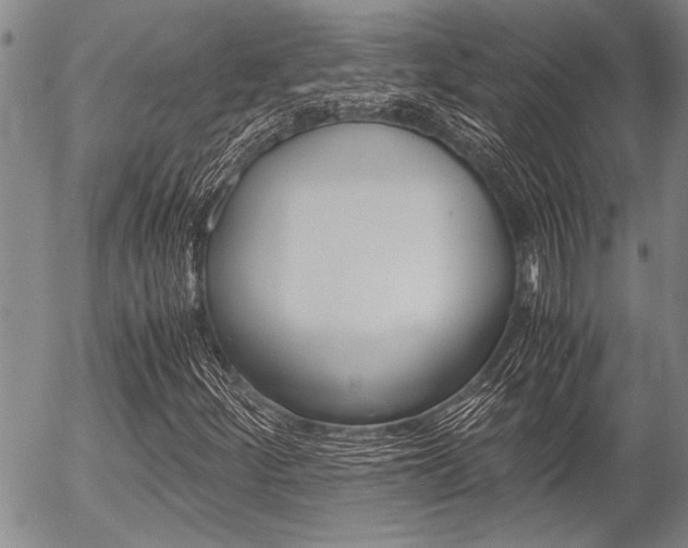 X0000057581252200509160802