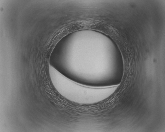 X0000057581253200509160802
