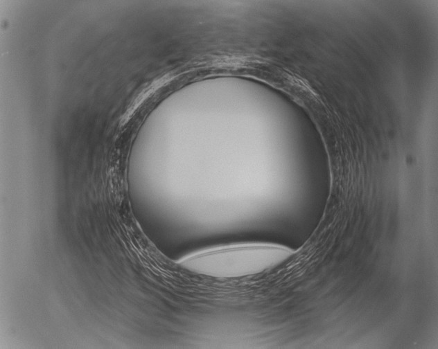 X0000057581256200509160802