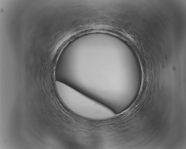 X0000057581263200509160802