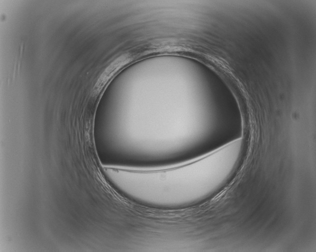 X0000057581273200509160802