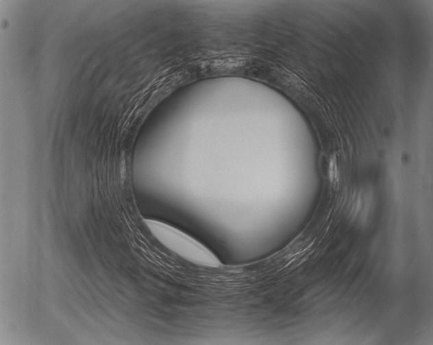 X0000057581299200509160801
