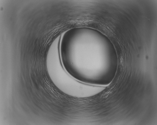 X0000057581300200509160801