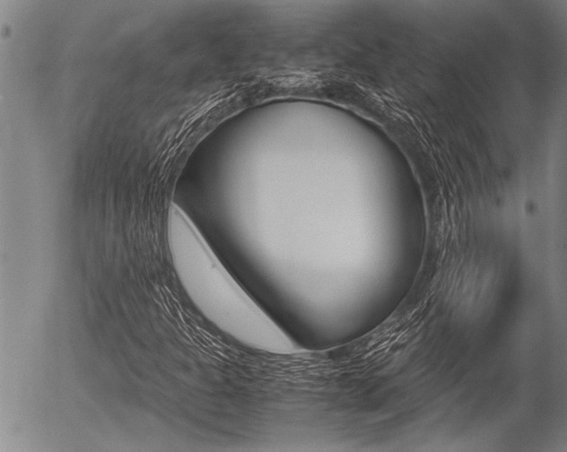 X0000057581301200509160801