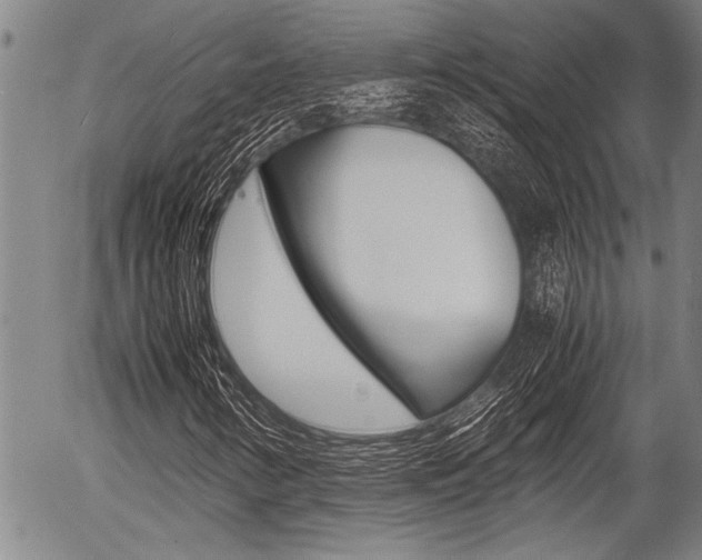 X0000057581346200509160800