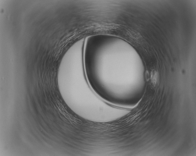 X0000057581348200509160800