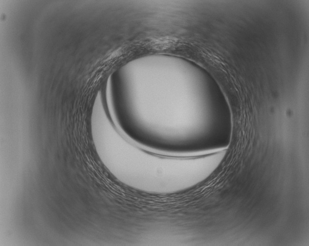X0000057581349200509160800