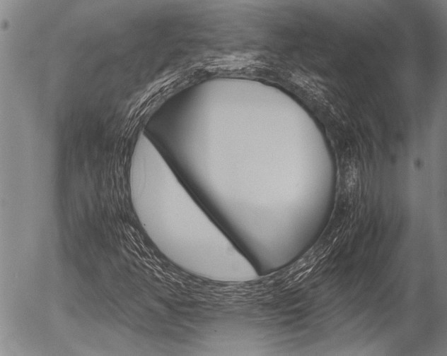 X0000057581350200509160800