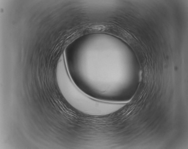 X0000057581394200509160759