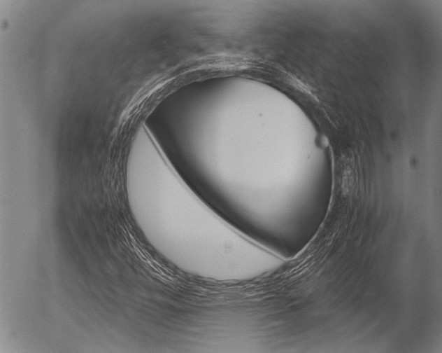 X0000057581448200509160759