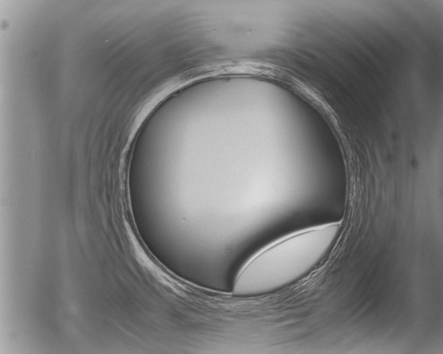X0000057581483200509160758