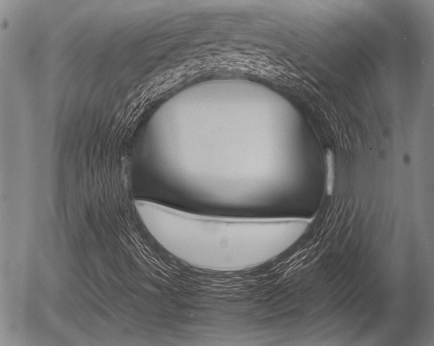 X0000057581491200509160757